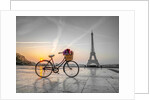 Bicycle and Eiffel tower by Assaf Frank